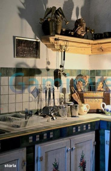 Casă cu 4 camere cu Teren 10000 Mp în Sălard