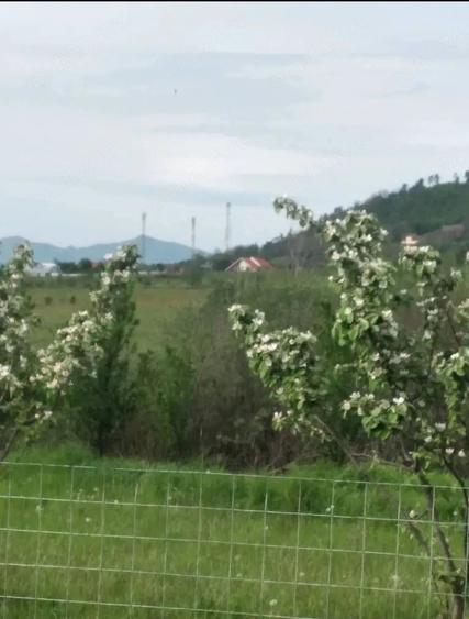 Teren de 2500 mp, în Central