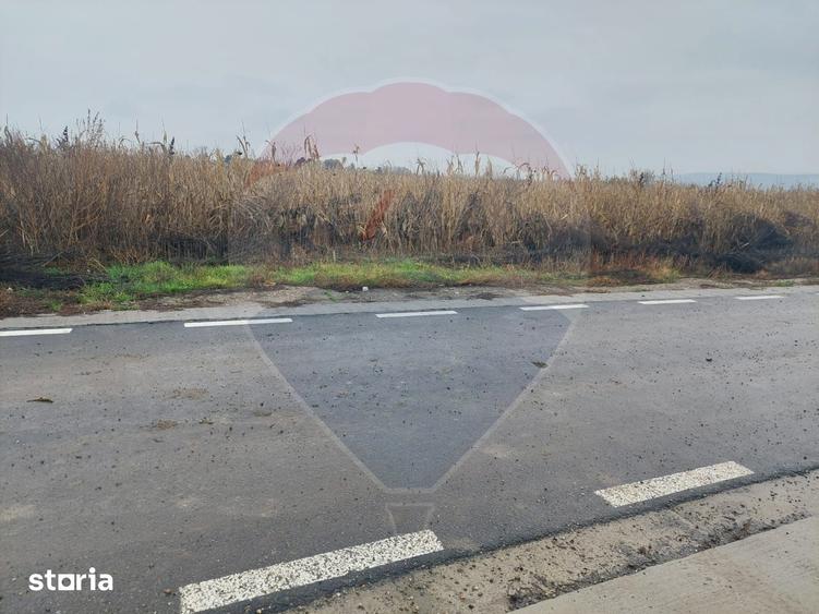 Teren de 2114 mp, în Nicolae Bălcescu