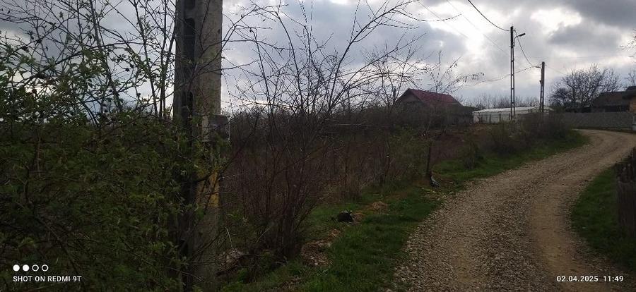 Teren de 2500 mp, în Central