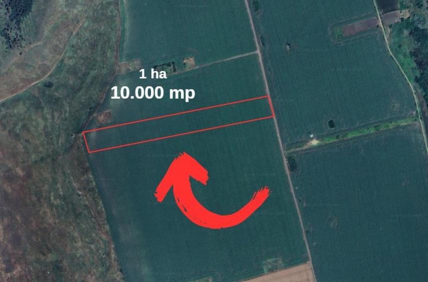 Teren de 10000 mp, în Miroslava