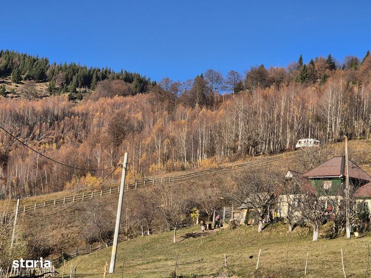 Magura/Brasov, teren generos, pretabil investitie cabane/pensiune/casa - 8