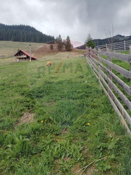 Teren Construcții intravilan de 500 mp, în Cârlibaba