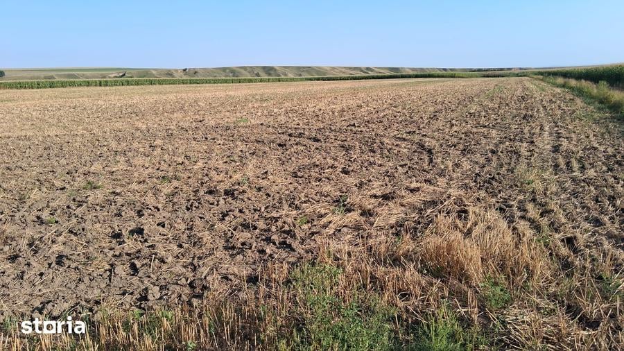 Teren de 28500 mp, în Dumbrava