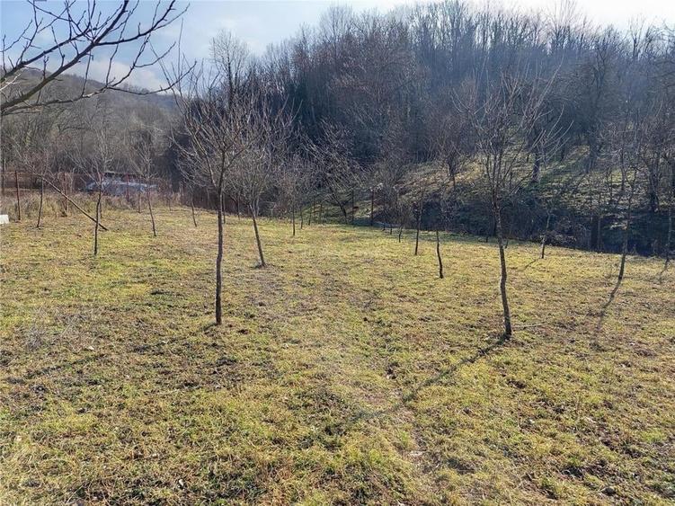 Teren de 1800 mp, în Ciclova Română