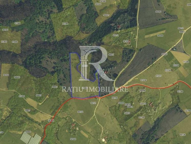 Teren Construcții extravilan de 30500 mp, în Șinteu