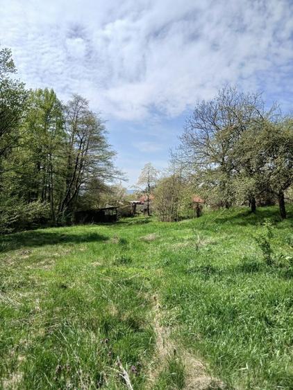 Casa la munte cu parau in curte,in localitatea Nojag.la 18 km.de DEVA - 5