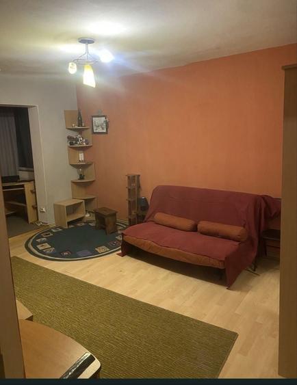Garsonieră în Buziașului