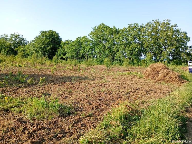 Teren de 2850 mp, în Muncelu