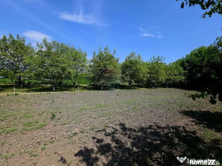 Teren de 4516 mp, în Doina