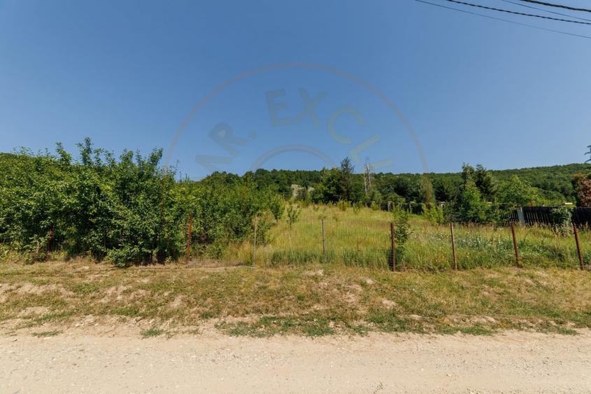 Teren Construcții intravilan de 1750 mp, în Ștefănești