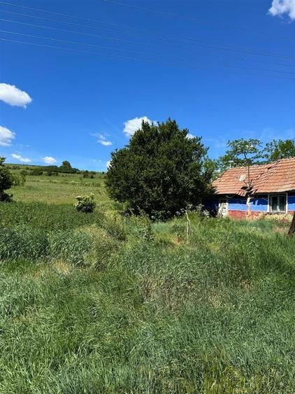 Casă individuală cu 1 camere cu Canalizare în Straja (Cojocna)