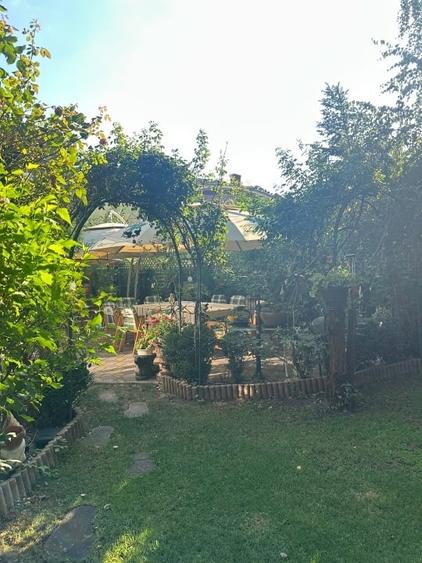 Hotel/Pensiune, de 28 mp, în Blașcovici