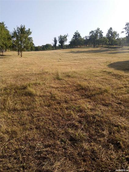 Teren de 2100 mp, în Rădăcinești