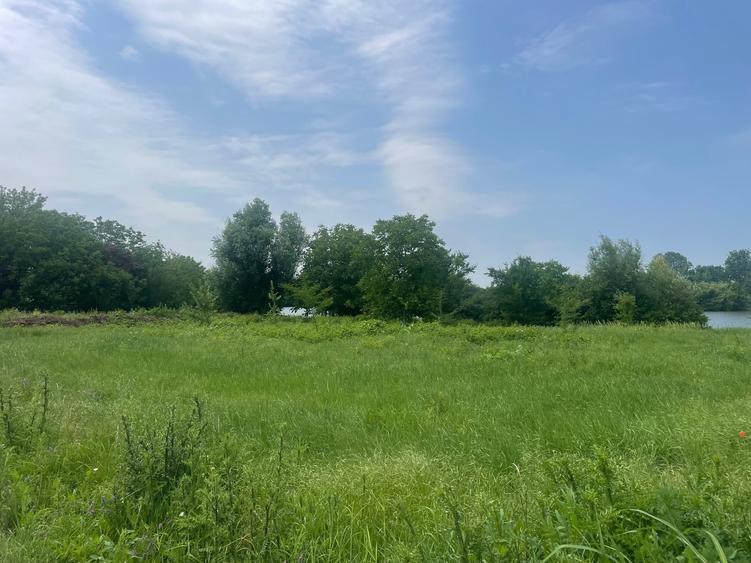 Teren agricol intravilan de 740 mp, în Dămăroaia