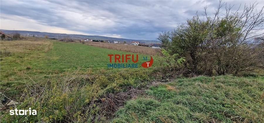 Teren de 2160 mp, în Partoș