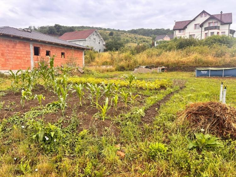 Teren Construcții intravilan de 550 mp, în Viișoara