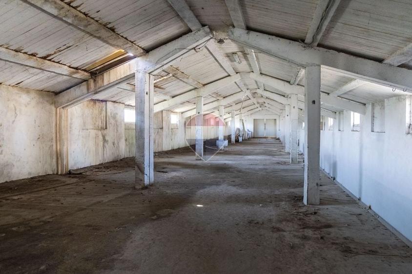 Teren Construcții intravilan de 17500 mp, în Hălchiu