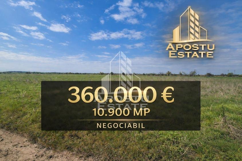 Teren Construcții intravilan de 10900 mp, în Sud