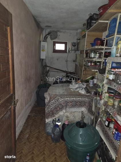 Casa cu lac de peste de vanzare in comuna Nucsoara, judet Arges.