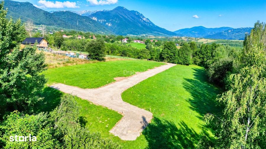Teren la munte 500 mp intravilan la 5 km de Moeciu,20 km de Fundata