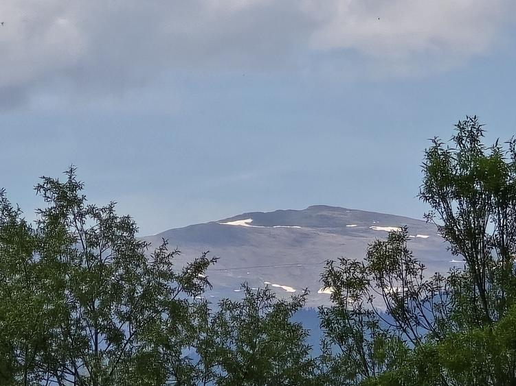 Spațiu comercial, în Albești