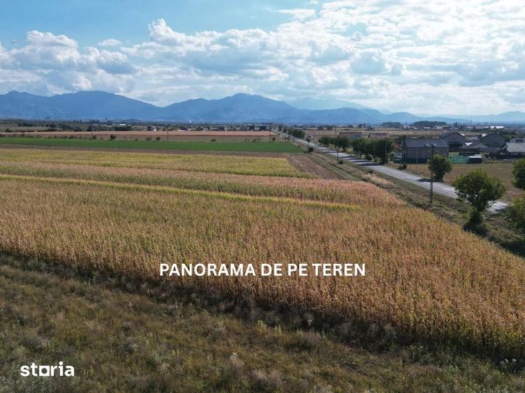 Teren de 30000 mp, în Bod