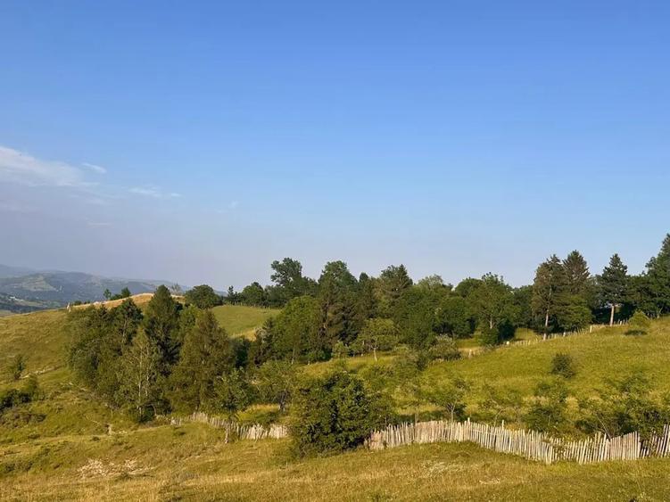 Teren de 13000 mp, în Talea