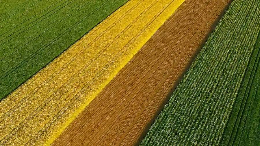Teren agricol extravilan - 1