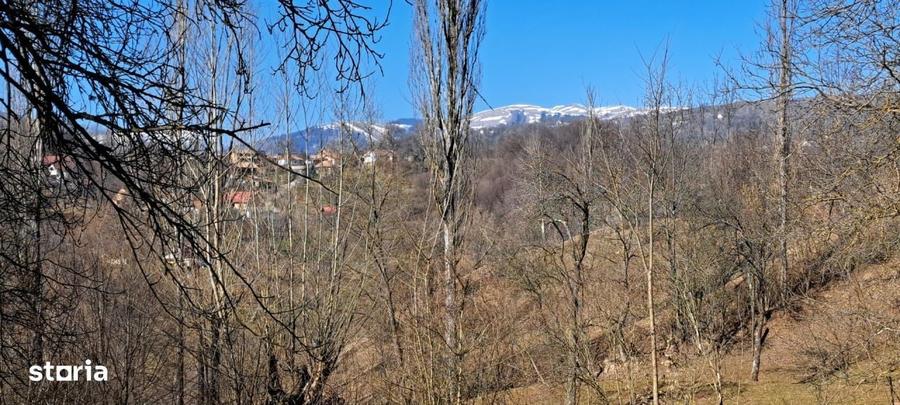 Spațiu comercial, în Podul Lung