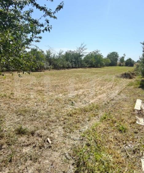 Teren de vanzare, 2.000 mp, deschidere 60 m, zona Dobra - 2