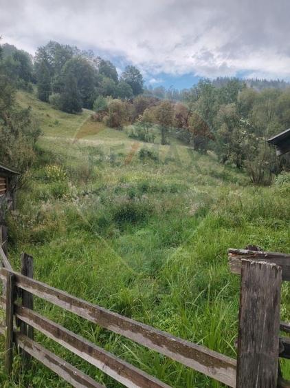 Teren Construcții intravilan de 6619 mp, în Crucea