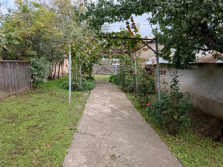 Casă cu 4 camere cu Teren 1560 Mp în Tudor Vladimirescu
