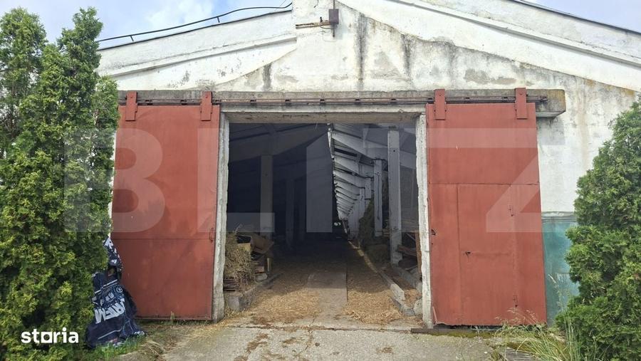 Spațiu comercial, de 3,000 mp, în Arini