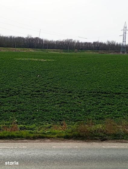 Teren de 5000 mp, în Central