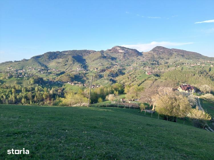 Teren de 11048 mp, în Moieciu