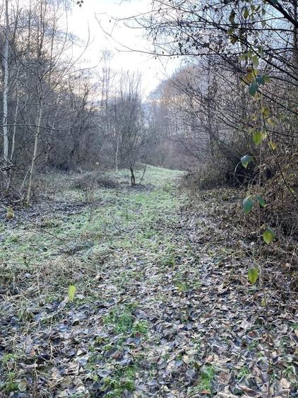 Teren de 15000 mp, în Valea