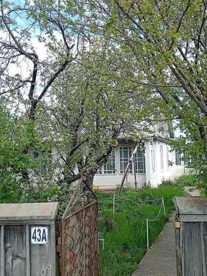 Casa de vanzare - 9