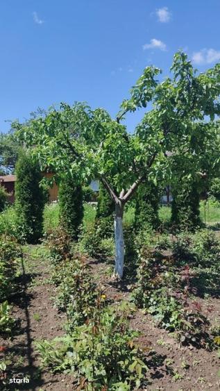 Casă cu 2 camere în Ingărești
