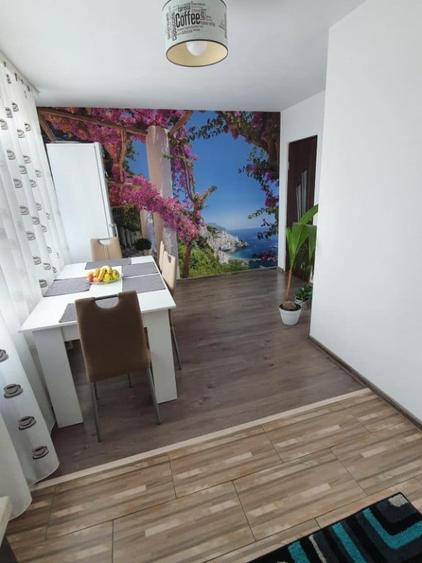Apartament cu 2 camere semidecomandat în Transilvaniei