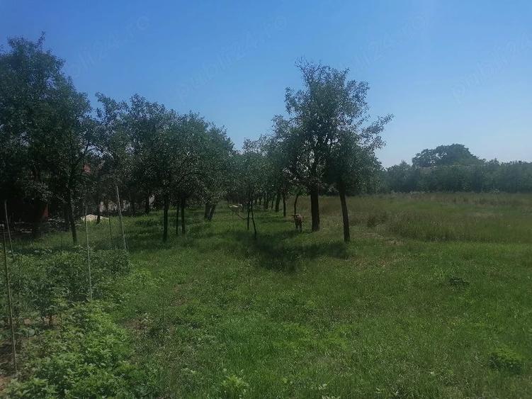 Teren de 1091 mp, în Ianova