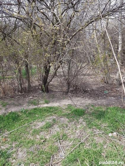 Teren de 5427 mp, în Bujoreanca