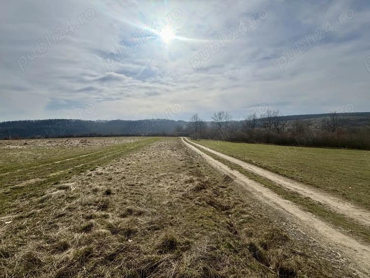 Teren de 802 mp, în Periferie