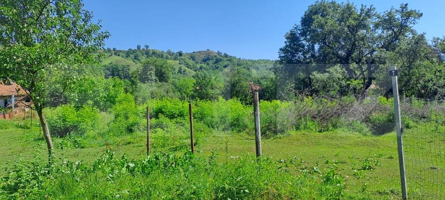 Teren Construcții intravilan de 1000 mp, în Feldioara (Ucea)