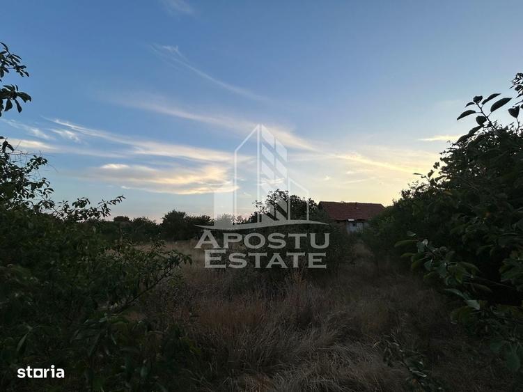 Spațiu comercial, în Braytim
