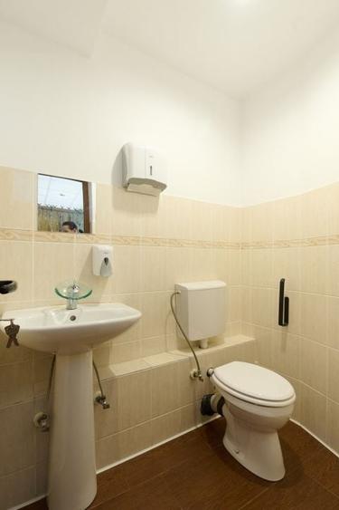 Proprietate specială, de 137.27000427246 mp, în Frații Golești