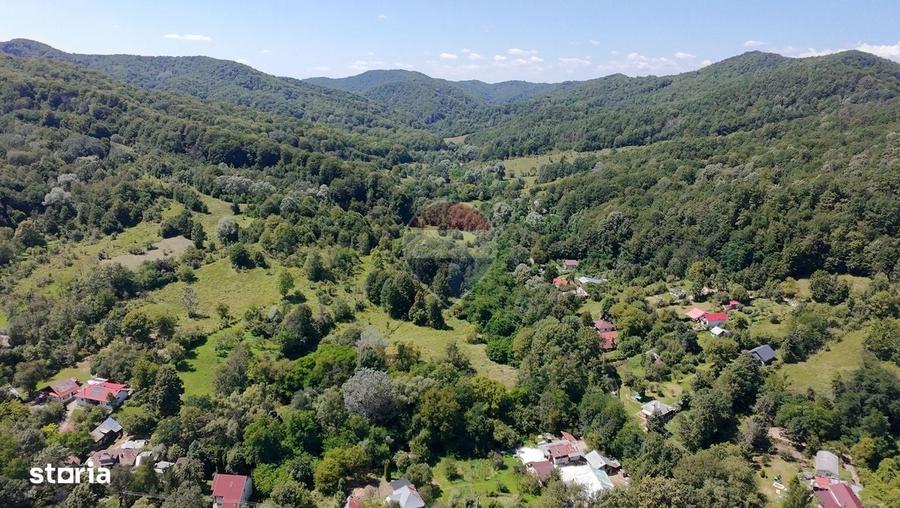 Teren Intravilan 8.277 mp Provita de Jos Utilitati, Rau & Padure - 3