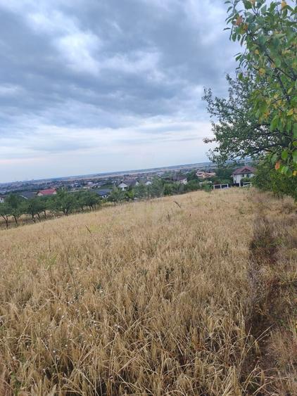Teren Construcții intravilan de 2930 mp, în Păulești