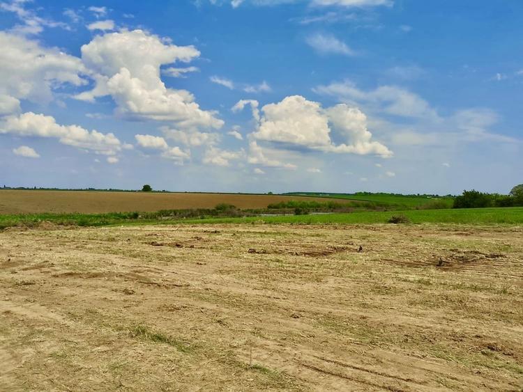 Teren intravilan de 10088 mp, în Butimanu