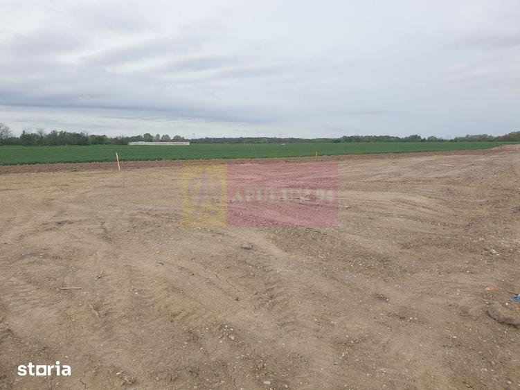 Teren ideal dezvoltare imobiliara in Magurele strada Atmosferei - 3